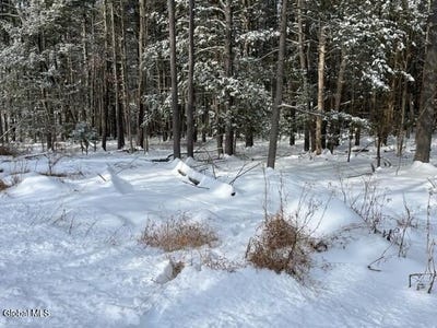 /international/us/51-circle-drive-west-coxsackie-ny-110104433829/