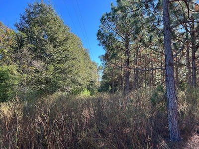 /international/us/10-ac-lot-1pl-cty-rd-140-cty-rd-141-headland-al-110102922398/