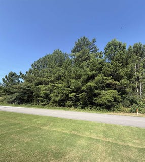 /international/us/renee-dr-tuscumbia-al-110109136614/