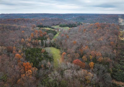 /international/us/3476-bassett-road-pacific-mo-110095873736/