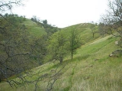 /international/us/36-anza-drive-friant-ca-110095589457/