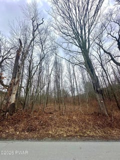 /international/us/hitchcock-road-jefferson-township-pa-110106432156/