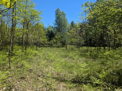 /international/us/40ac-v-l-clements-road-kaleva-mi-110108639205/