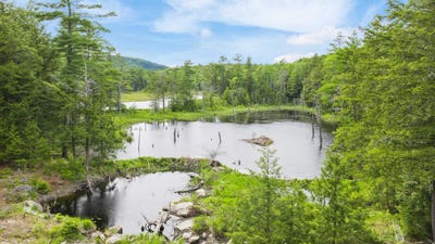 /international/us/00-pine-point-road-new-durham-nh-110109352648/
