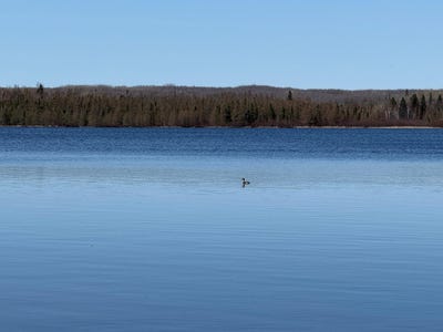 /international/us/allen-rd-lot-4-crandon-wi-110105952995/