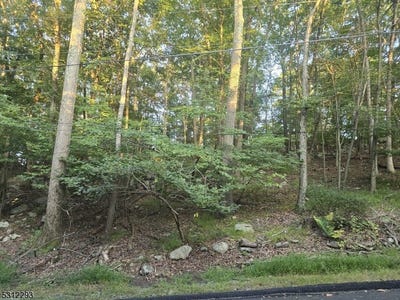 /international/us/35-mountain-trl-hopatcong-boro-nj-110094684433/