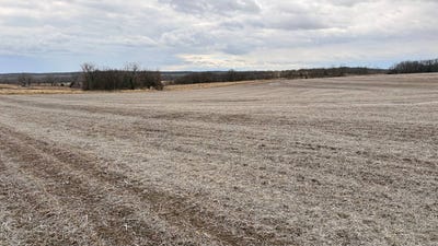 /international/us/600-road-mc-fall-mo-110105926767/