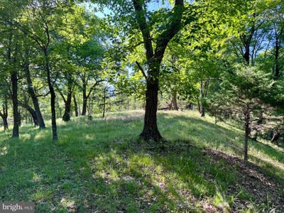 /international/us/326-tweed-lane-petersburg-wv-110108494178/