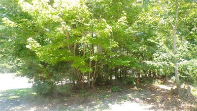 /international/us/2581-carl-allred-road-franklinville-nc-110110231945/