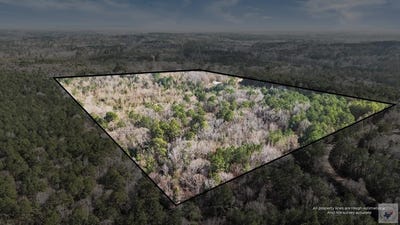/international/us/320-cr-2114-douglassville-tx-110103231641/