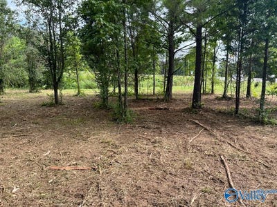 /international/us/6-47-acres-south-greenway-drive-trinity-al-110089435180/?lang=en