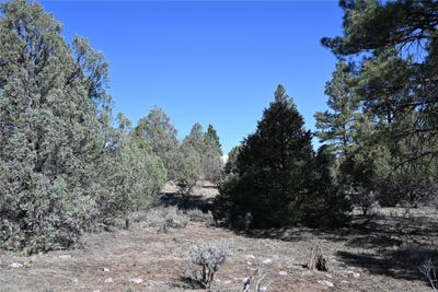 /international/us/nm-sr-64-tierra-amarilla-nm-110106842051/