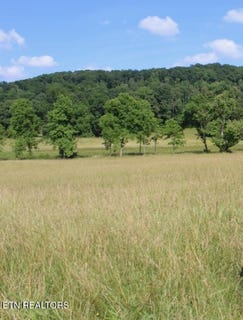 /international/us/1361-paint-rock-valley-rd-philadelphia-tn-110101094974/?lang=zh-cn