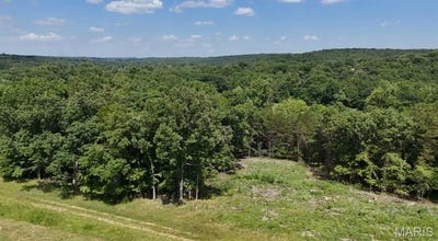 /international/us/8-tanglefoot-farms-road-festus-mo-110101094994/