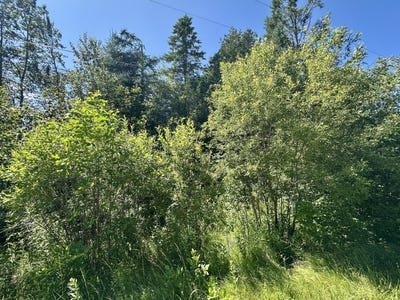 /international/us/14371-stoney-pointe-road-cheboygan-mi-110101433709/