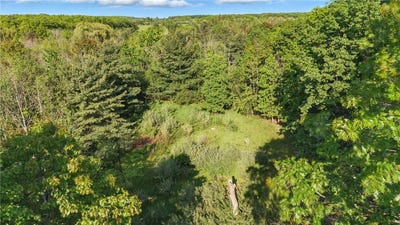 /international/us/w-sherman-hollow-road-jerusalem-ny-110099921191/