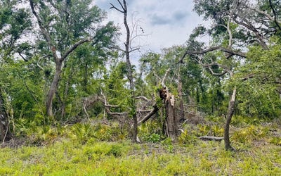 /international/us/lot74-nw-22nd-avenue-jasper-fl-110098910784/