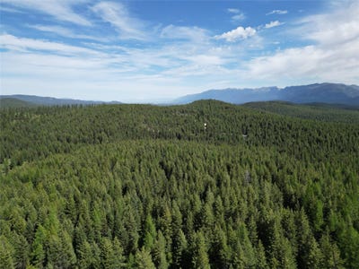 /international/us/nhn-e-edna-mountain-road-trego-mt-110099769381/?lang=en
