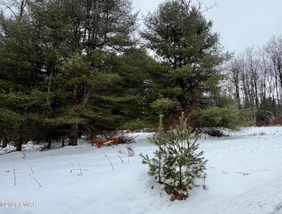 /international/us/meadows-drive-hawley-pa-110105864560/