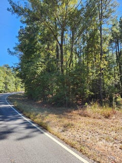 /international/us/3170-co-rd-53-abbeville-al-110103001998/