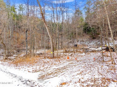 /international/us/l4-flat-creek-road-gilboa-ny-110105017860/