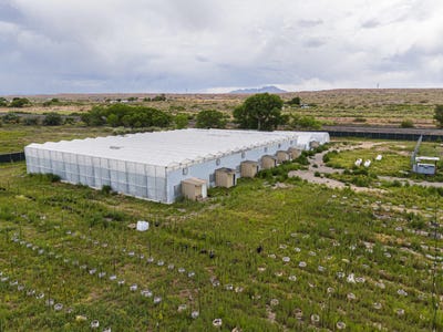 /international/us/510-nm-116-bosque-nm-110109007083/