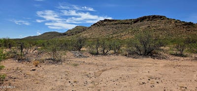 /international/us/tbd-n-bruno-road-douglas-az-110101395388/?lang=zh-cn