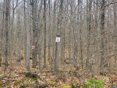 /international/us/lot-8-daigneau-trail-merrillsville-ny-110083936824/?lang=zh-tw