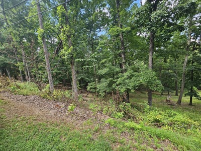 /international/us/0-pin-oak-dr-blue-ridge-va-110100587097/?lang=zh-tw