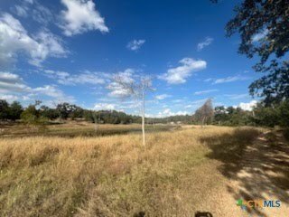 /international/us/lot-18-woodland-trail-ranch-caldwell-tx-110100812970/