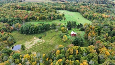 /international/us/5099-conrad-road-cincinnatus-ny-110120422042/