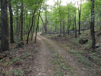 /international/us/5190-madison-hindsville-ar-110103189472/