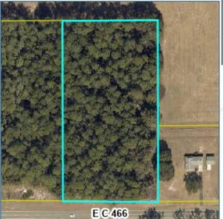 /international/us/0-county-road-466-oxford-fl-110103257674/