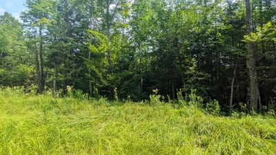 /international/us/m15-l17-quincy-woods-road-anson-me-110101231273/?lang=id