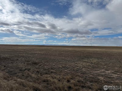 /international/us/2-1-8-vacant-lots-county-road-21-carr-co-110105635838/