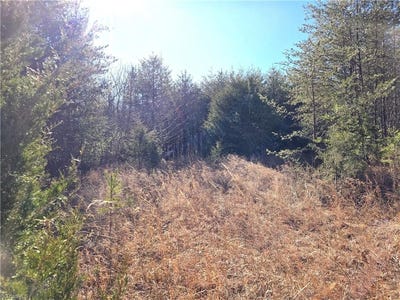 /international/us/xx-17-5-acres-nc-highway-268-pinnacle-nc-110102427768/