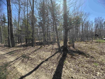 /international/us/tbd-lot-29-1st-st-manistique-mi-110099245906/?lang=zh-tw