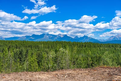 /international/us/11680-north-fork-road-polebridge-mt-110101213407/?lang=zh-cn