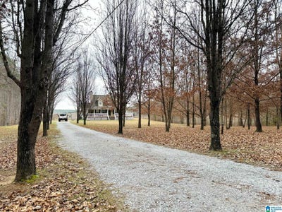 /international/us/485-hunter-road-randolph-al-110099554176/?lang=zh-cn