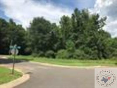 /international/us/tbd-300-ashbury-circle-queen-city-tx-110080731785/