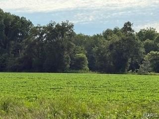 /international/us/40-brush-creek-road-new-london-mo-110101013410/?lang=zh-tw