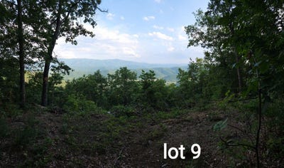 /international/us/3280-reese-mountain-rd-elliston-va-110098398387/