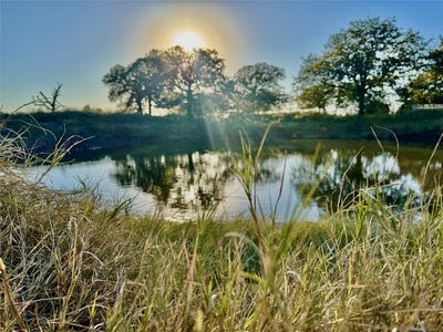 /international/us/14114-howard-lake-court-lipan-tx-110103571131/