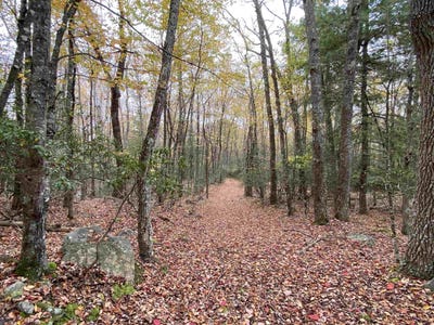 /international/us/halterman-hollow-ln-monterey-va-110100819244/