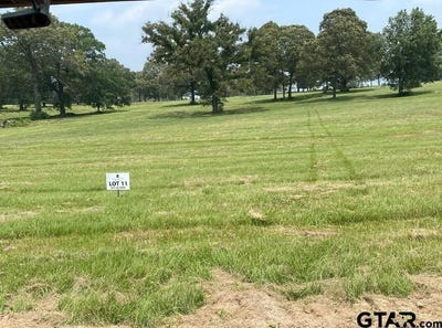 /international/us/private-road-3398-lot-11-tbd-big-sandy-tx-110108689313/