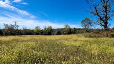 /international/us/595-tulip-poplar-lane-flemingsburg-ky-110102994460/