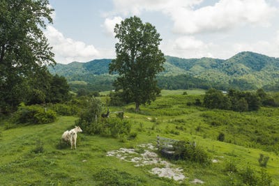 /international/us/1430-clinch-valley-55-55-acres-road-sneedville-tn-110119558251/