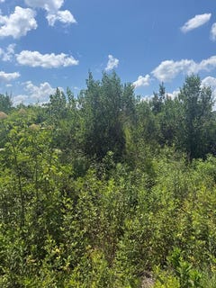 /international/us/pineview-rd-alma-ga-110108140751/