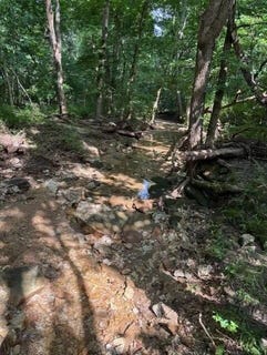 /international/us/county-road-272-vanzant-mo-110109084315/