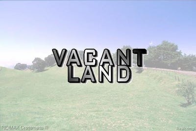 /international/us/vacant-bohn-road-sumpter-twp-mi-110001470133/